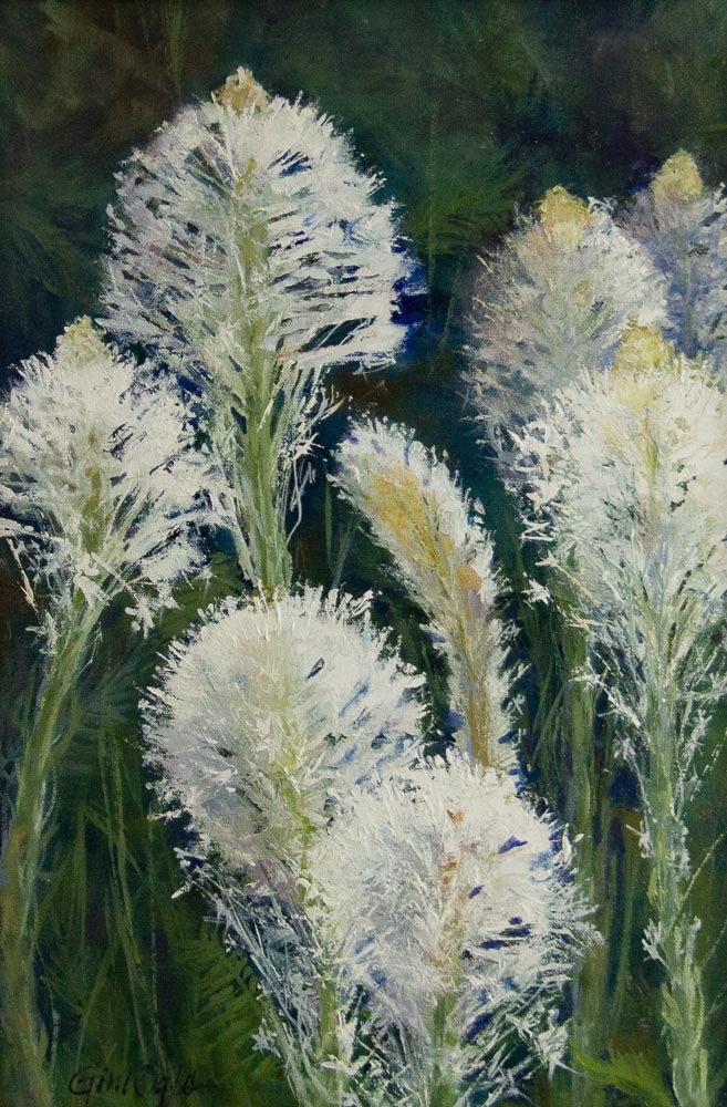 Bountiful Beargrass