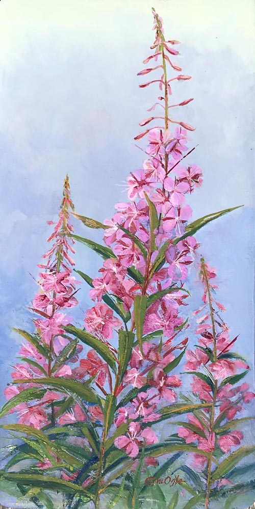 Fireweed