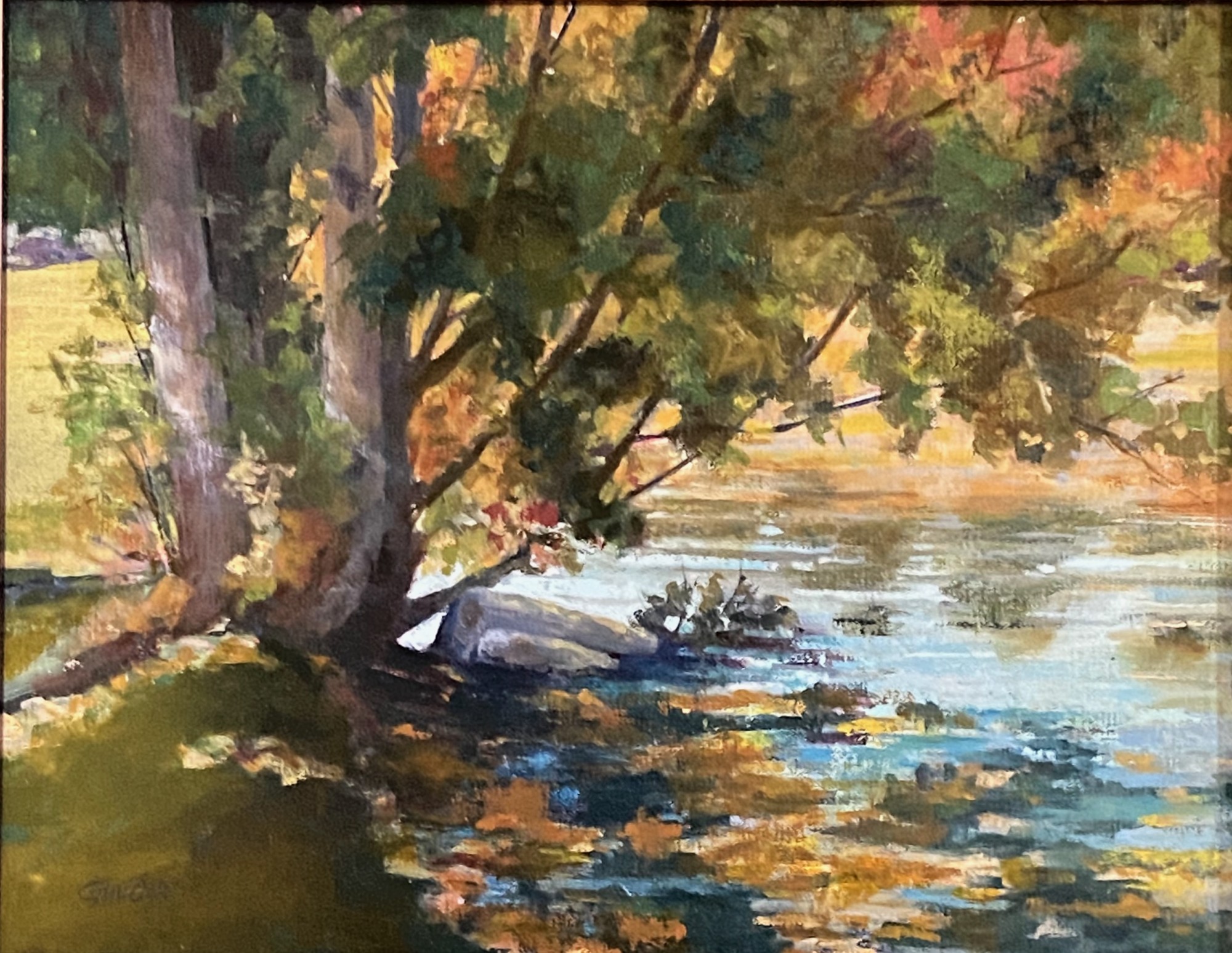 Woodland Park, Dappled Light