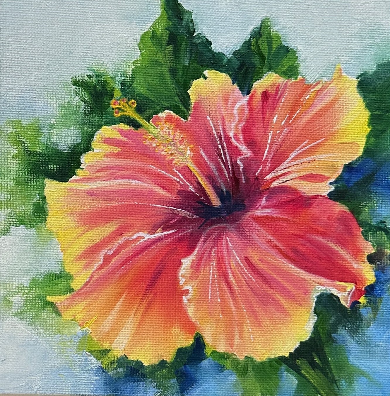 Hibiscus